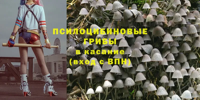 это телеграм  mega вход  Псилоцибиновые грибы MAGIC MUSHROOMS  Рубцовск  как найти наркотики 